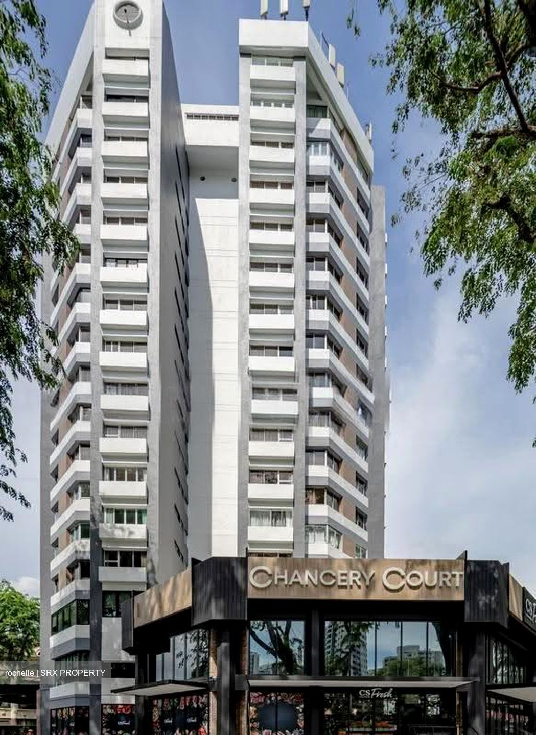 Dunearn Road (D11), Condominium #632914331